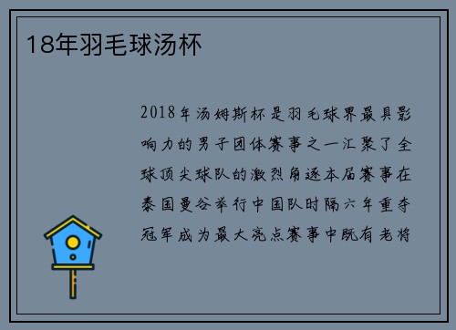 18年羽毛球汤杯
