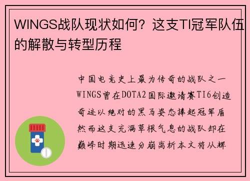 WINGS战队现状如何？这支TI冠军队伍的解散与转型历程